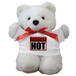 DANGER: HOT! Teddy Bear