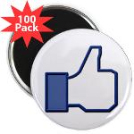 I Like This 2.25" Magnet (100 pack)