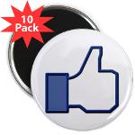 I Like This 2.25" Magnet (10 pack)