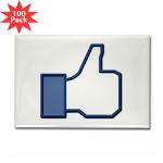 I Like This Rectangle Magnet (100 pack)